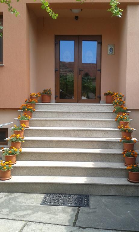 Pensiunea Damiris Baile Felix Exterior photo